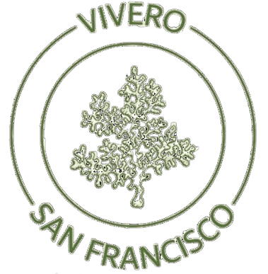 Logo de Vivero San Francisco S.R.L